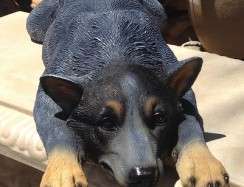 blue heeler statue