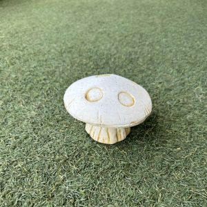 Small Flat Mushroom