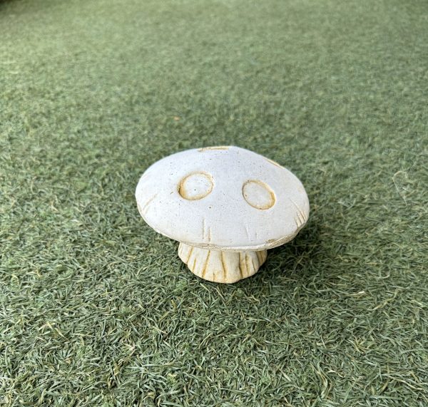 Small Flat Mushroom
