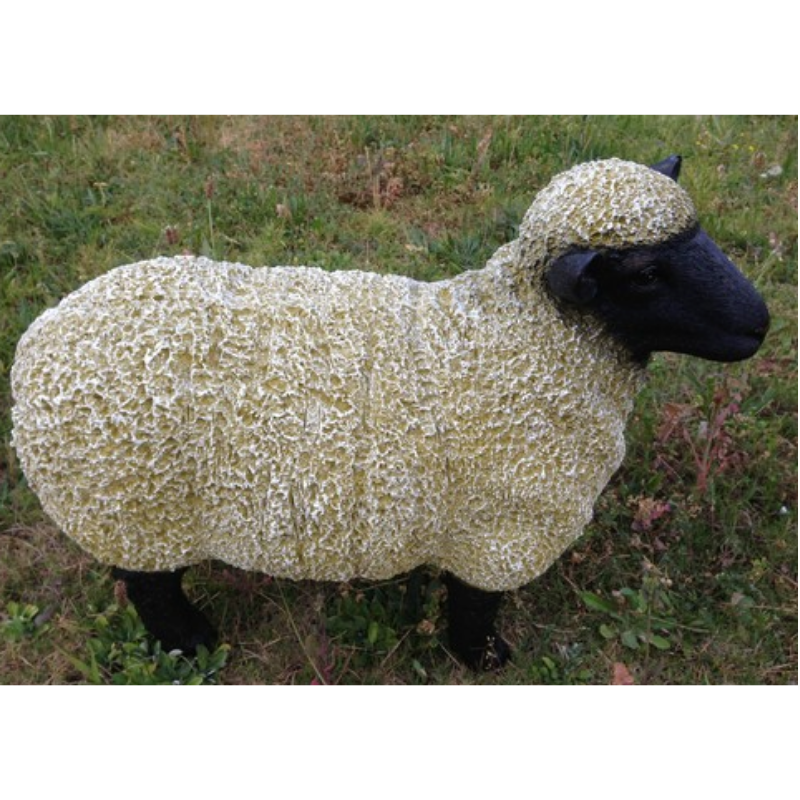 kuroma dark sheep