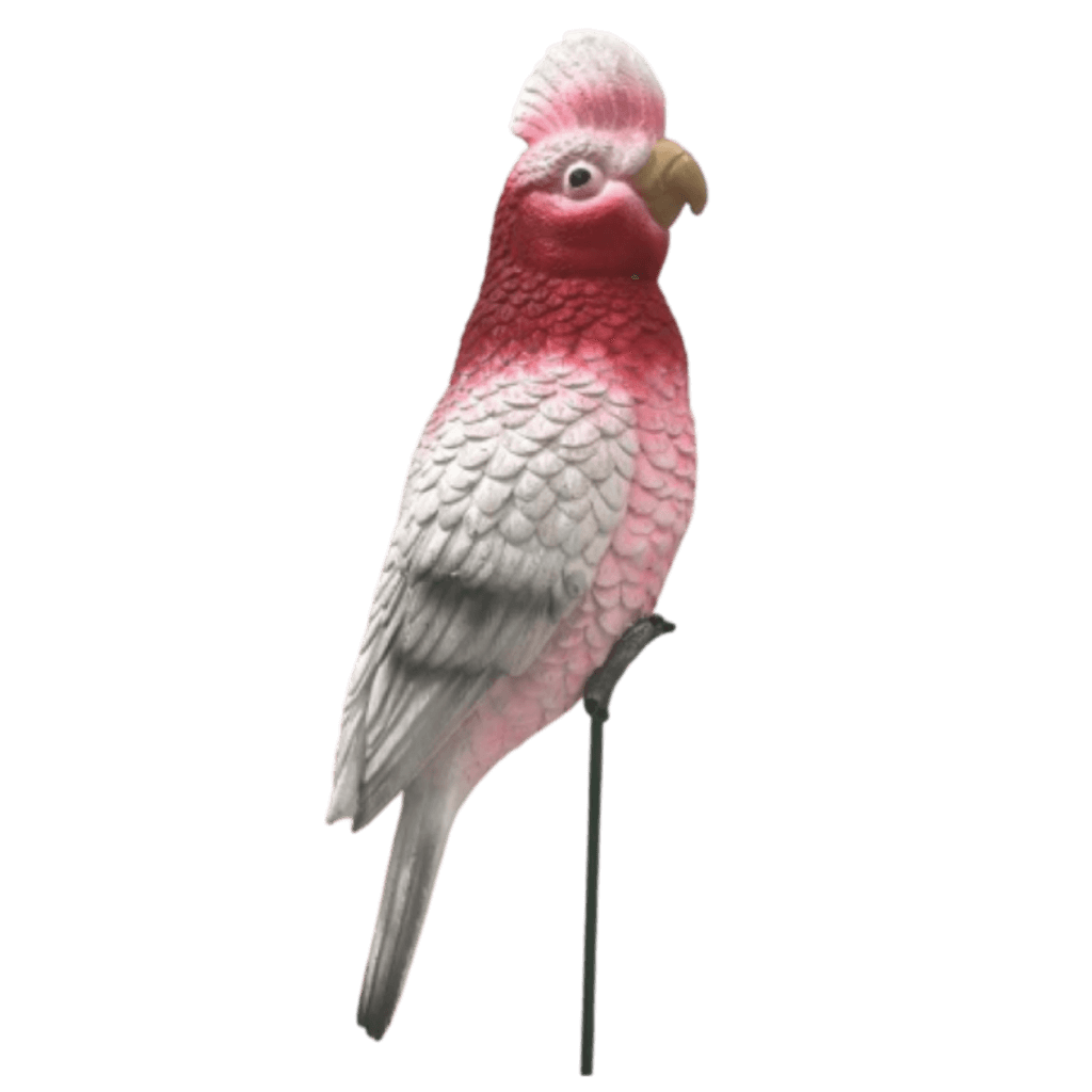 Garden Ornaments, Sculptures & Garden Statues in Perth, WA