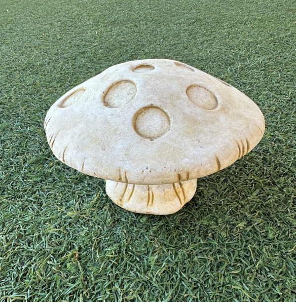 Large Flat Mushroom