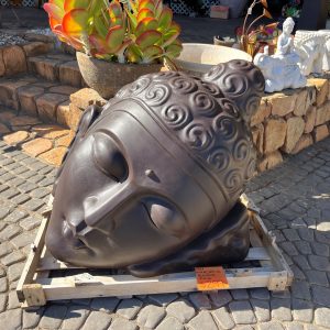 Mirroring Buddha Face