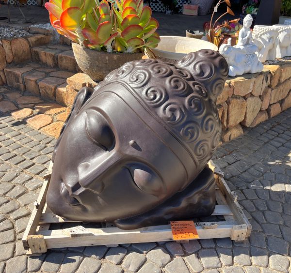 Mirroring Buddha Face