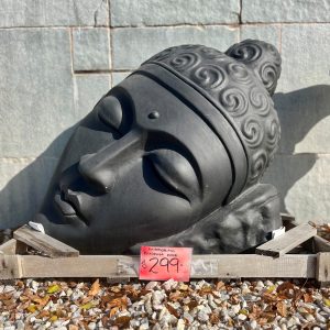 Mirroring Buddha Face