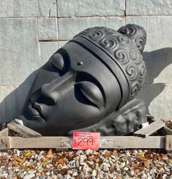 Mirroring Buddha Face