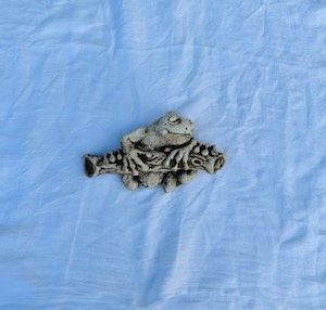 Tree Frog Wall Plaque