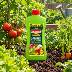 Seaweed Concentrate 600ml