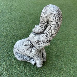 Single Elephant