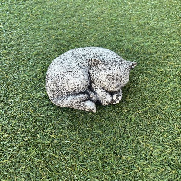 Small Cat