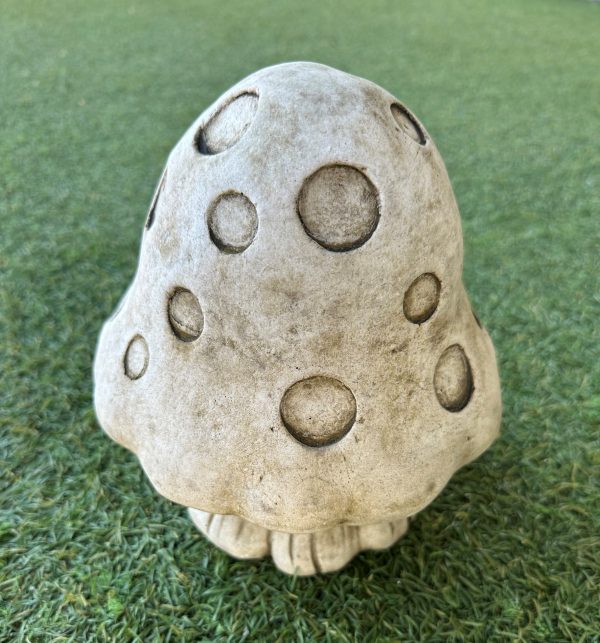 Large Dome Mushroom