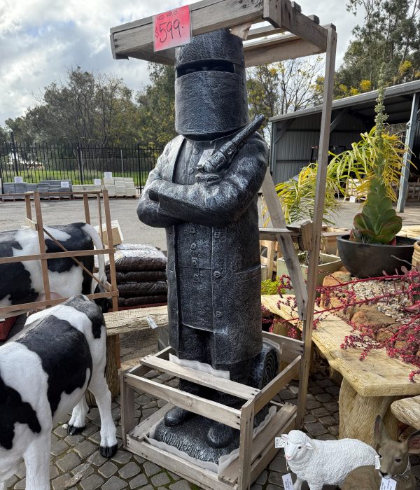 Standing Ned Kelly