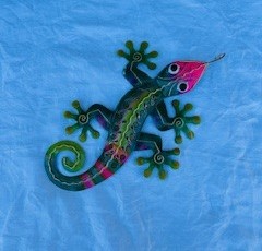Colourful Gecko