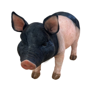 Black Pig - 40cm