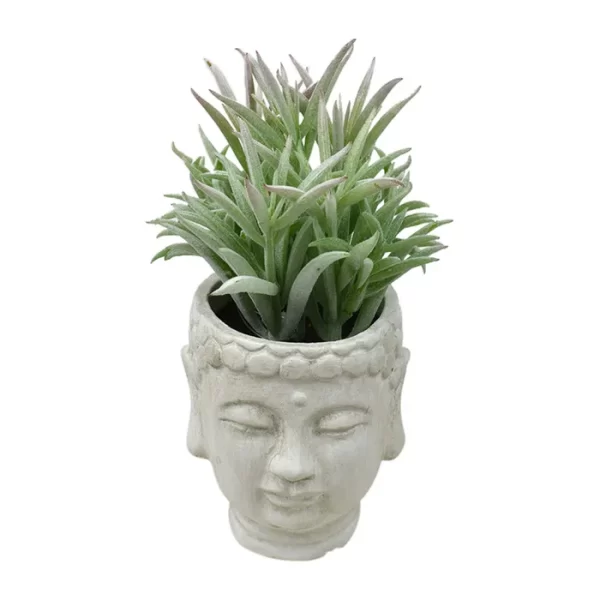 Buddha Succulent Pot