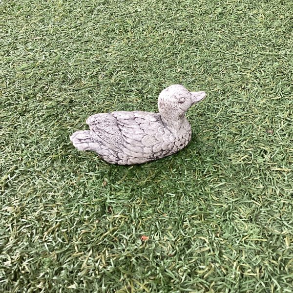 Little Duck