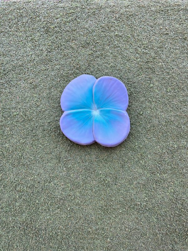 Large Painted Pansy Wall Plaque