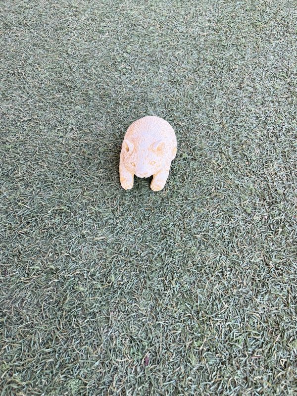 Tiny Wombat