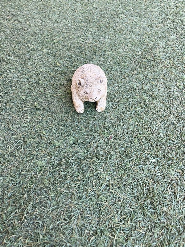 Tiny Wombat - Image 2