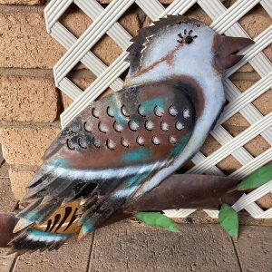 Kookaburra IR258
