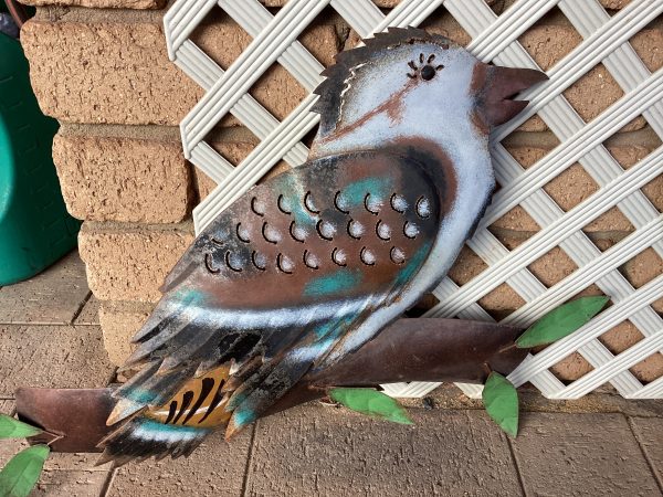 Kookaburra