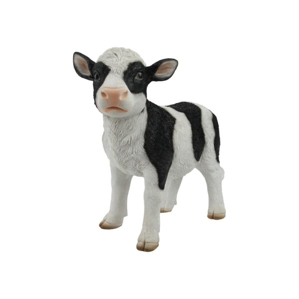 Baby Cow