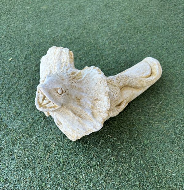 Frilled Neck Lizard