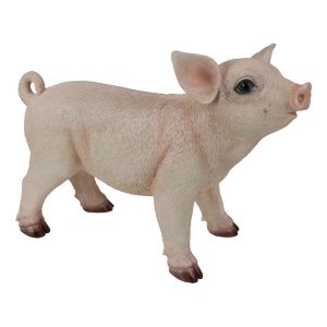 Standing Pig