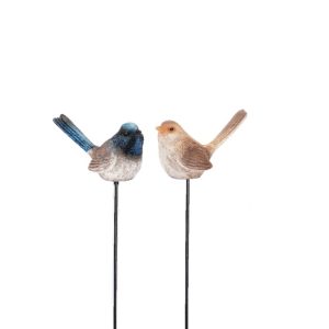 Fairy Wren on Stick