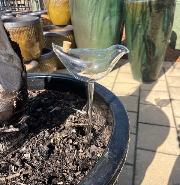 Self Watering Stakes