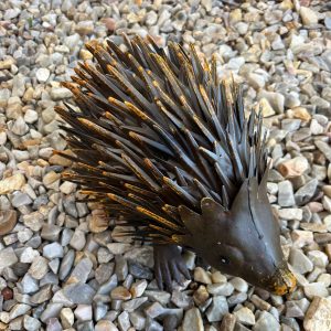 Echidna- Metal