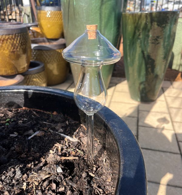 Self Watering Stakes - Image 2