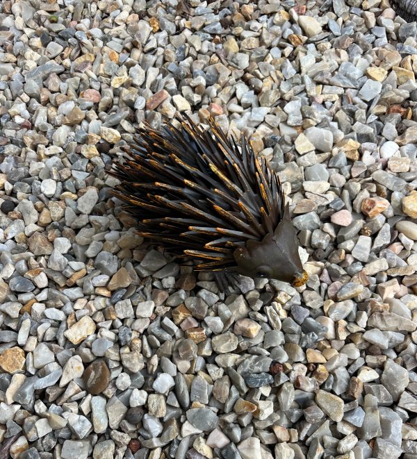 Echidna- Metal - Image 2