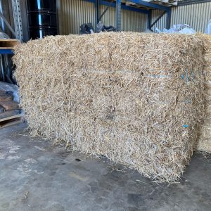 Lupin Mulch