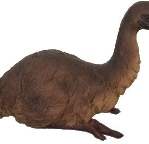 Emu Laying Down Large
