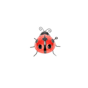 Ladybug Red Large