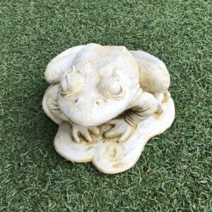 Squatting Frog