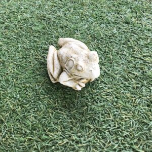 Small Frog