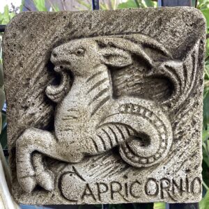 Capricorn Wall Plaque