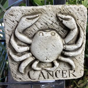 Cancer Wall Plaque